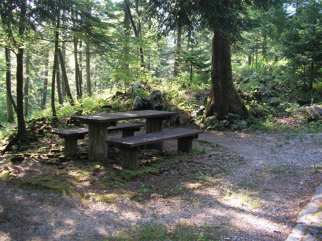 Camping Pivka Jama Postojna Ngoại thất bức ảnh